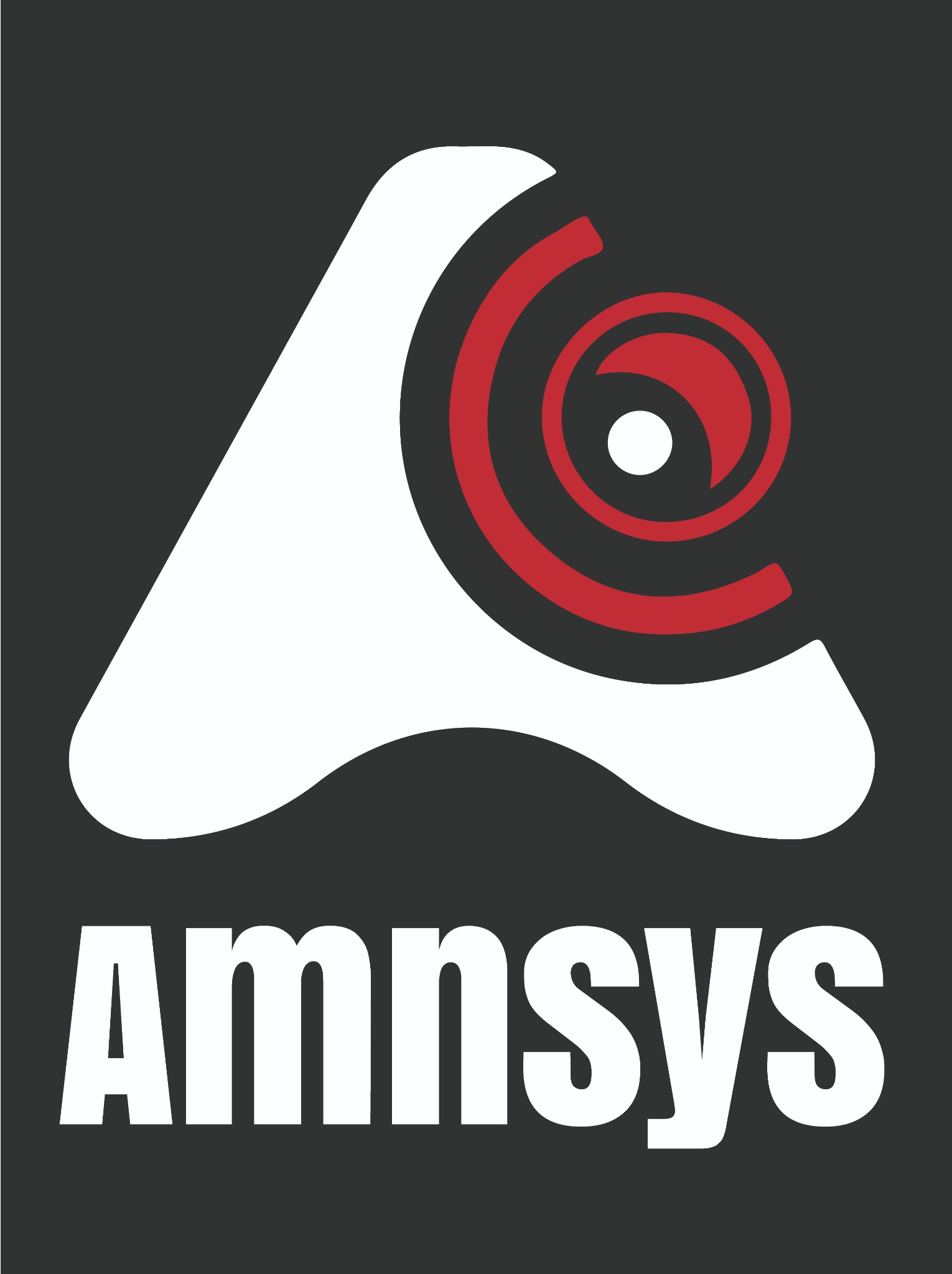 Logo Amnsys